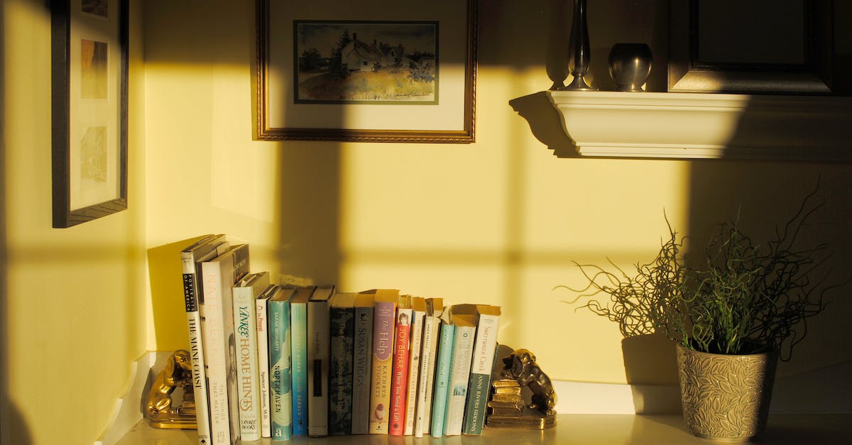 Do Xbox Live subscriptions stack duration? [duplicate] - Shelf with books souvenirs and verdant potted flower in room corner in sunlight