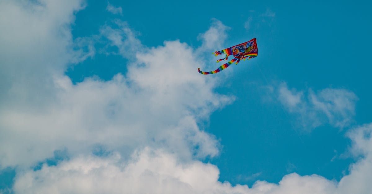 Do you lose subscriptions to (and files of) mods if it went from free to paid? - From below scenery of multicolored bright kite soaring in peaceful blue sky Do you lose subscriptions to (and files of) mods if it went from free to paid? - From below scenery of multicolored bright kite soaring in peaceful blue sky