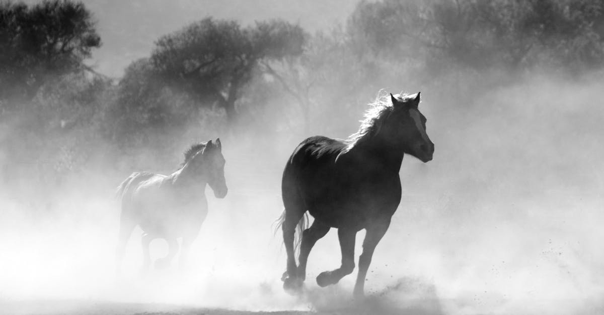 Do Zombie Horses in Minecraft spawn naturally? - Brown and White Stallions Running in a Field Do Zombie Horses in Minecraft spawn naturally? - Brown and White Stallions Running in a Field
