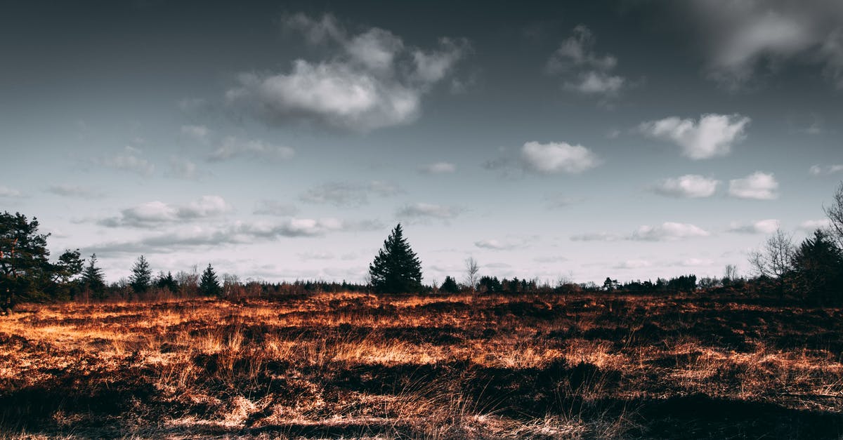 Do zombies repopulate in areas you've already cleared out? - Brown Open Field Do zombies repopulate in areas you've already cleared out? - Brown Open Field