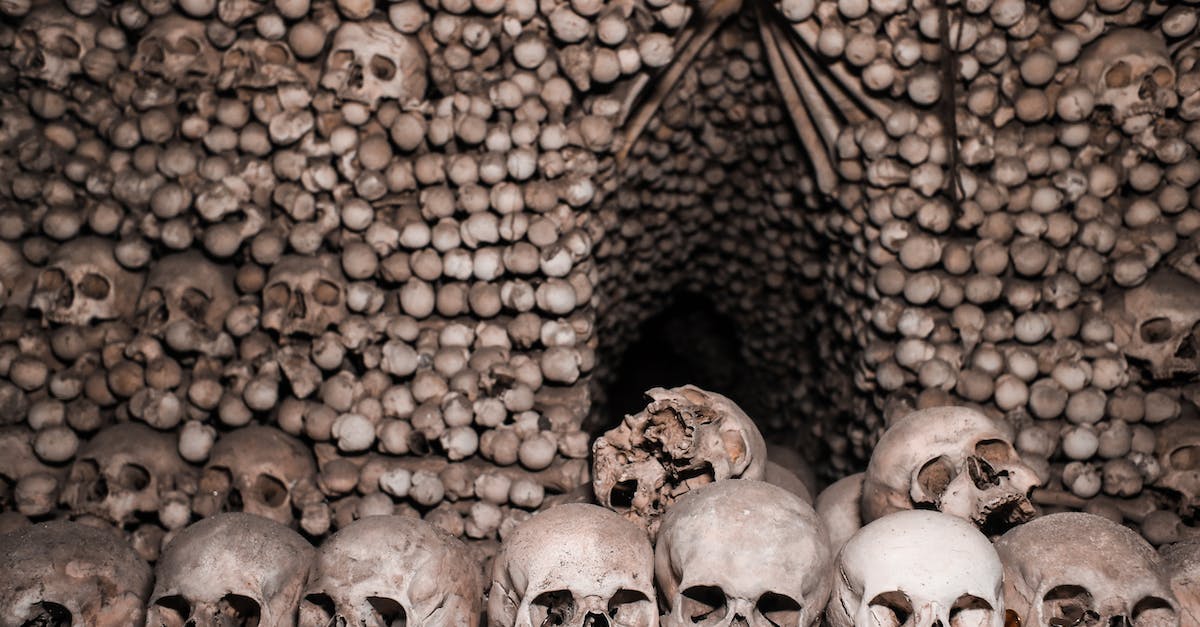 Do Zombies with skulls drop the skulls? - Grayscale Photo of Skull Decors