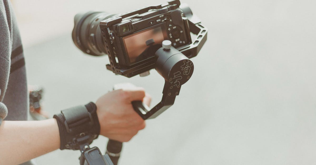 Does a subsystem takes power? - Person Holding Black Dslr Camera