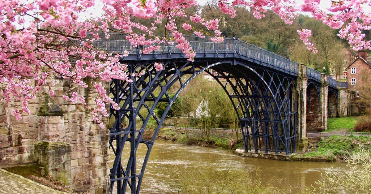 Does a UK Voucher Code used on an Australian Account download the UK game? - Cherry Blossom Tree Beside Black Bridge