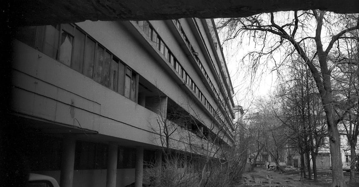 Does acid rain do more damage or a fireball? - Black and white of leafless trees growing on shabby dirty asphalt road with puddles near aged building on overcast day Does acid rain do more damage or a fireball? - Black and white of leafless trees growing on shabby dirty asphalt road with puddles near aged building on overcast day