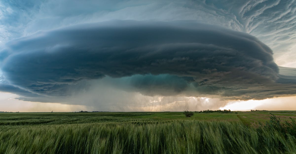 Does acid rain do more damage or a fireball? - Field and Storm Does acid rain do more damage or a fireball? - Field and Storm