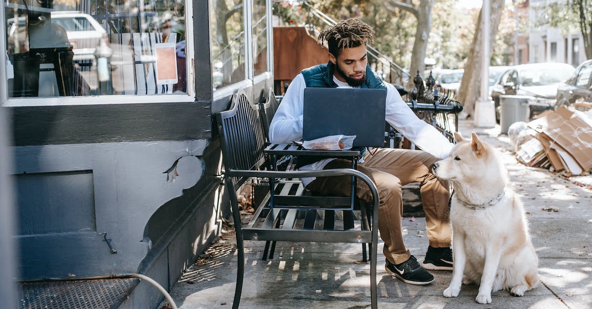 Does Animal Crossing: City Folk still work over LAN? - Black man working with laptop and patting cute Akita Inu Does Animal Crossing: City Folk still work over LAN? - Black man working with laptop and patting cute Akita Inu