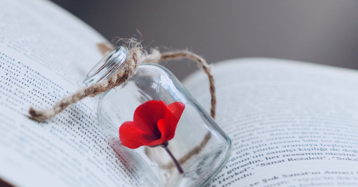 Does anyone have the formula for the damage multipliers in Tiny Dice Dungeon? - Free stock photo of beautiful flower, beautiful nature, blur Does anyone have the formula for the damage multipliers in Tiny Dice Dungeon? - Free stock photo of beautiful flower, beautiful nature, blur