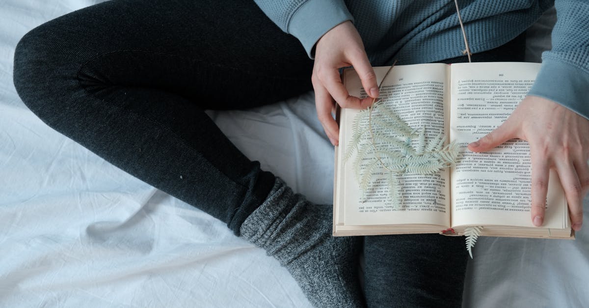 Does bed work after minecraft world corrupts - Person in Blue Sweater Reading Book