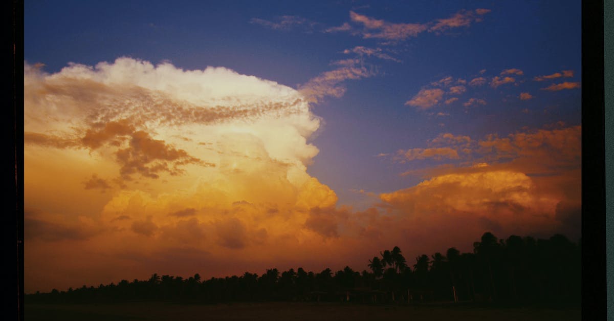 Does being a dark elf fully negate sun damage as a vampire lord - A Photo Of A Clouds Formation In The Sky Does being a dark elf fully negate sun damage as a vampire lord - A Photo Of A Clouds Formation In The Sky