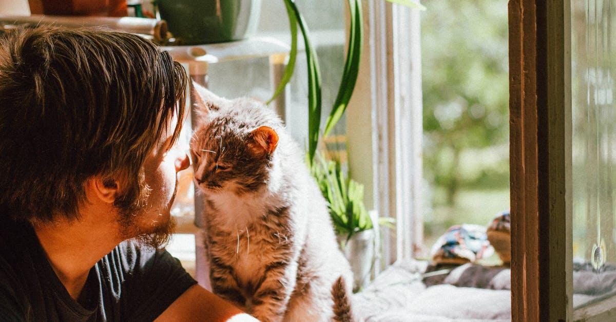 Does Cheibriados' Slouch affect Oklob plants? - Cute cat smelling unrecognizable bearded man on windowsill at home Does Cheibriados' Slouch affect Oklob plants? - Cute cat smelling unrecognizable bearded man on windowsill at home