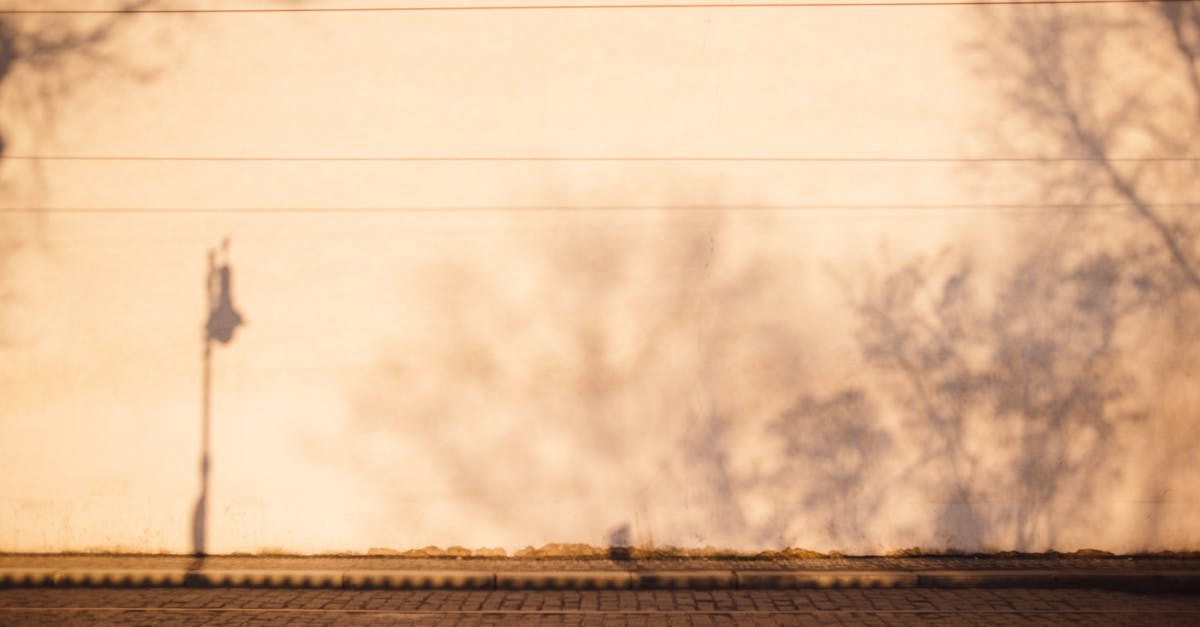 Does chunk (0,0) have an increased spawn rate as claimed in this old post? - Tramways on roadway against wall with tree shadows in town Does chunk (0,0) have an increased spawn rate as claimed in this old post? - Tramways on roadway against wall with tree shadows in town