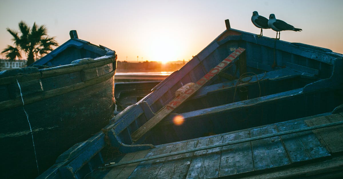 Does collecting an abandoned ship lose my old one? [duplicate] - Seagulls on old boat at sunset