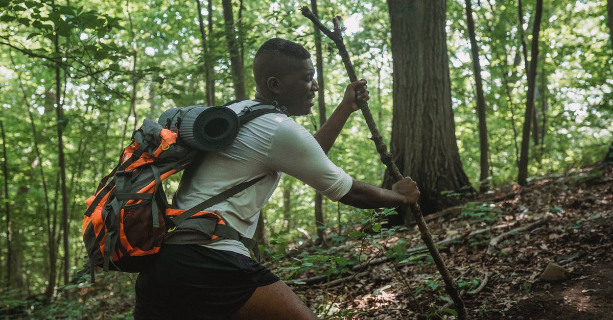 Does CP determine the aggressiveness of a wild Pokemon? - Side view of black young man with backpack climbing with tree branch among green woods on sunny summer day
