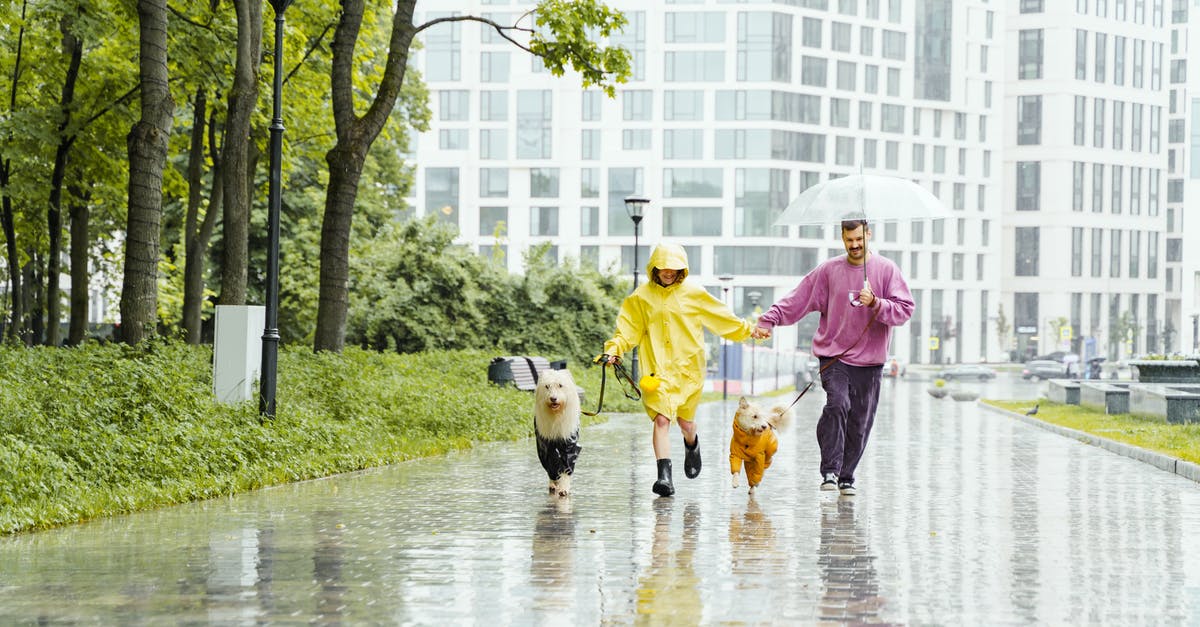 Does Danse become unavailable as a companion if you join the Institute? - Free stock photo of active, adult, care