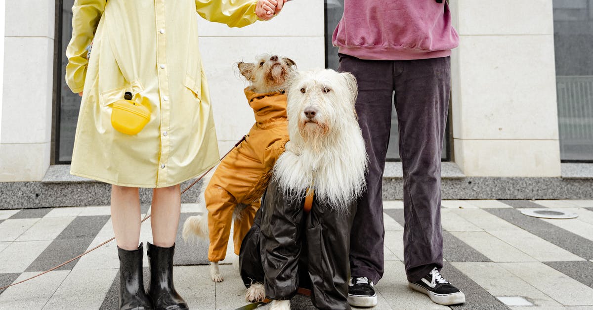 Does Danse become unavailable as a companion if you join the Institute? - Free stock photo of care, child, city Does Danse become unavailable as a companion if you join the Institute? - Free stock photo of care, child, city