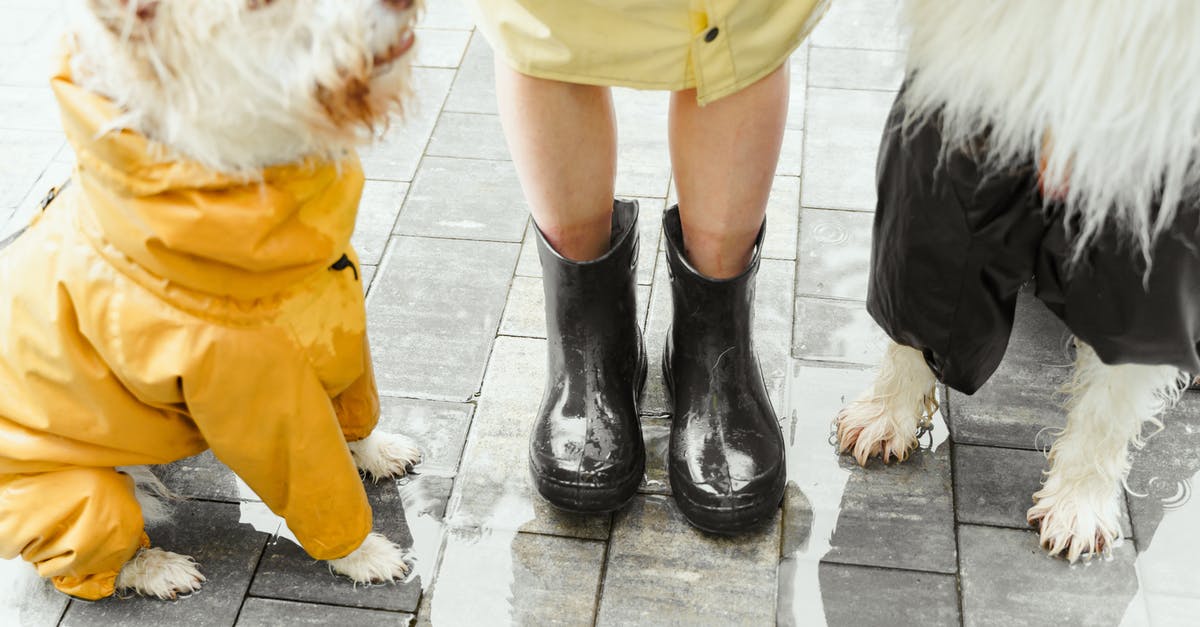 Does Danse become unavailable as a companion if you join the Institute? - Free stock photo of care, child, christmas Does Danse become unavailable as a companion if you join the Institute? - Free stock photo of care, child, christmas