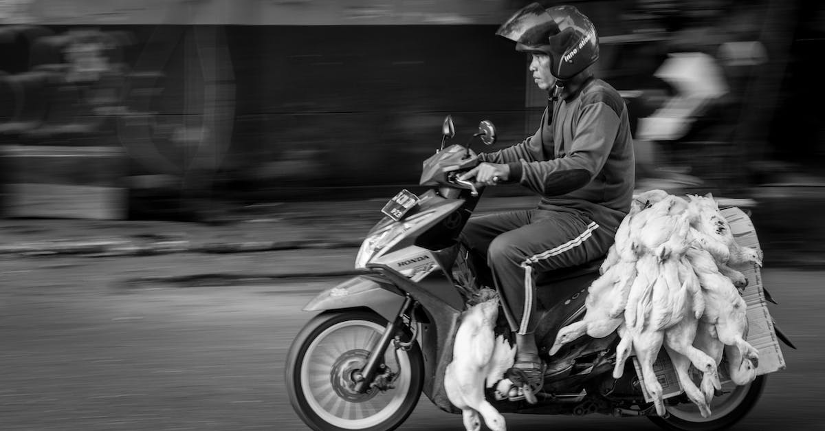 Does Dead Space have many jumpscares? - Black and white side view of ethnic motorcyclist in protective helmet riding motorbike with heap of dead geese on asphalt city road
