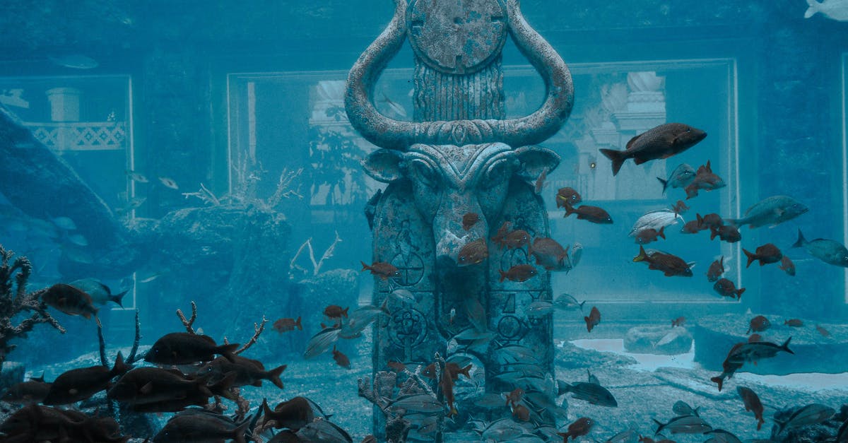 Does destroying an artifact affect later artifact wishes? - Black Animal Skull on Water Does destroying an artifact affect later artifact wishes? - Black Animal Skull on Water