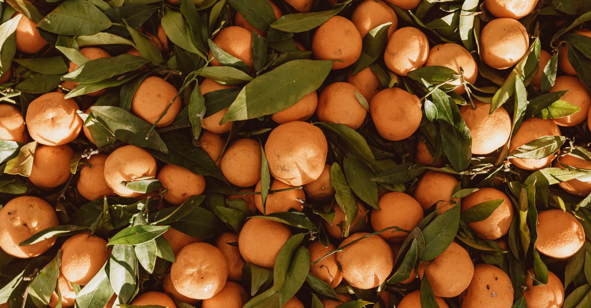 Does fresh start reset combat record? - A Pocket of Oranges Does fresh start reset combat record? - A Pocket of Oranges