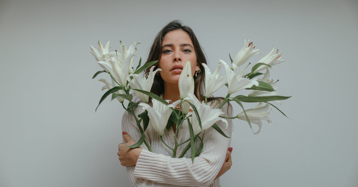 Does fresh start reset combat record? - Free stock photo of adult, bouquet, bride Does fresh start reset combat record? - Free stock photo of adult, bouquet, bride