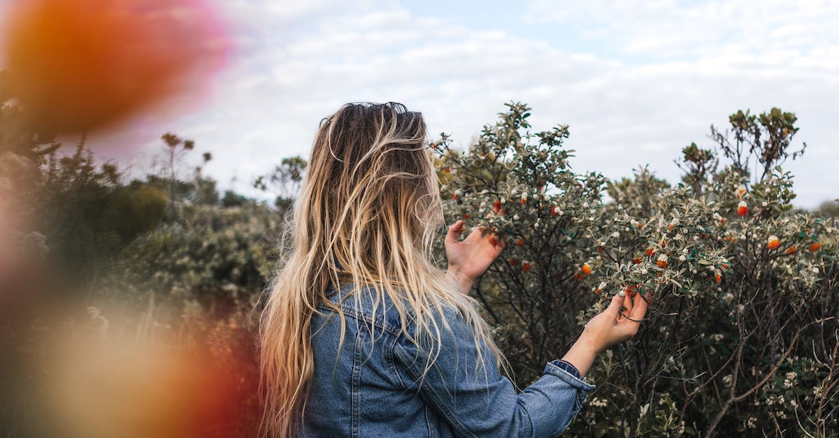Does hair grow back? - Anonymous woman touching fruits on shrubs in countryside Does hair grow back? - Anonymous woman touching fruits on shrubs in countryside