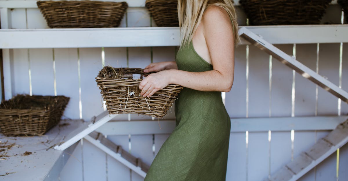 Does Hearthstone have raids or coop multiplayer? - Crop woman with basket in wooden coop Does Hearthstone have raids or coop multiplayer? - Crop woman with basket in wooden coop
