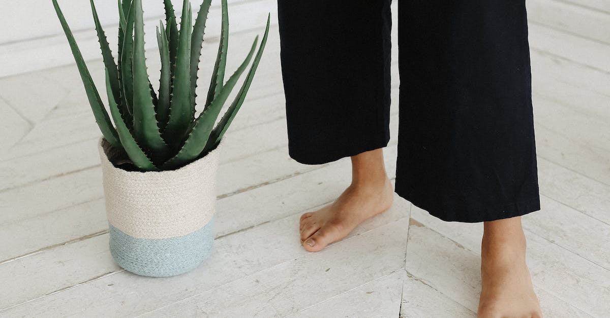 Does Hexing Pants of Mr. Yan work for Sentry/Hydra skill? - Person Standing Beside Aloe Vera Plant