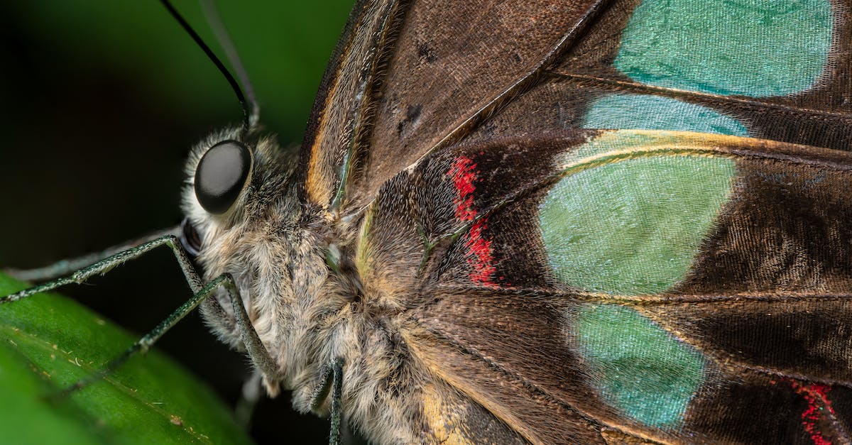 Does it matter that my Panty Shot is Naughty? - 