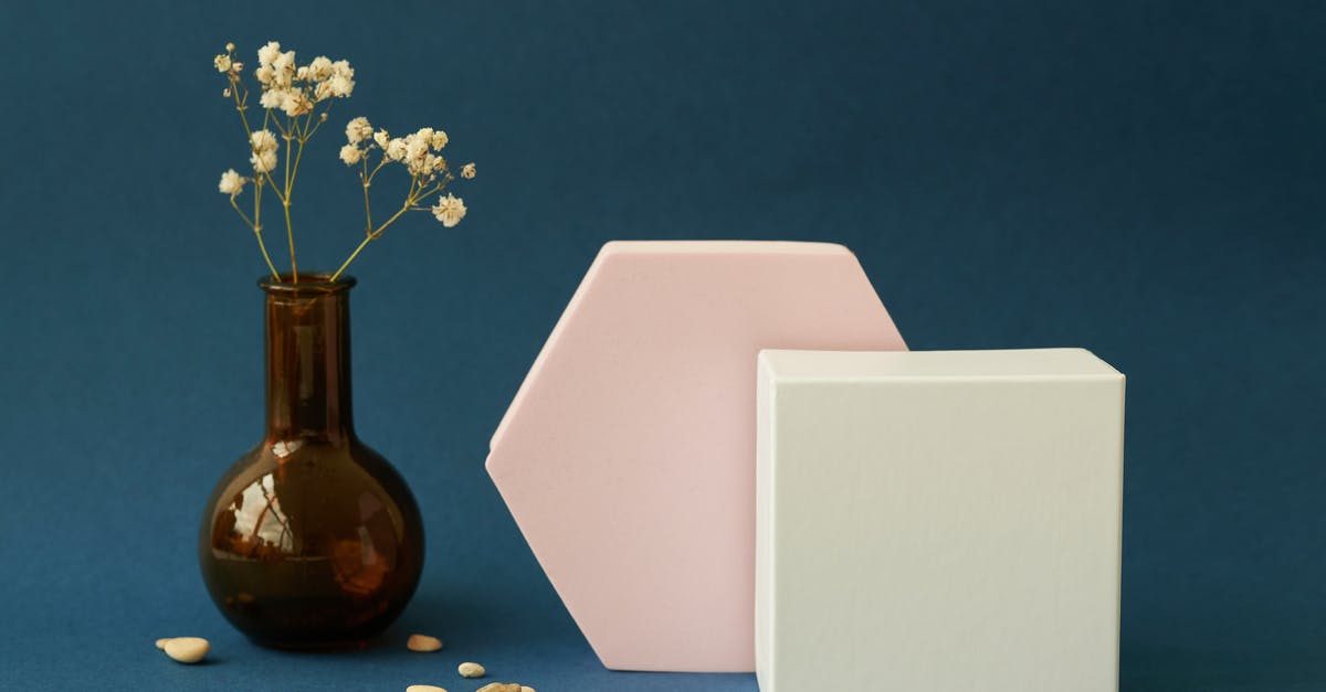 Does it matter what objects I launch in Control? - White Flower in Brown Ceramic Vase Does it matter what objects I launch in Control? - White Flower in Brown Ceramic Vase