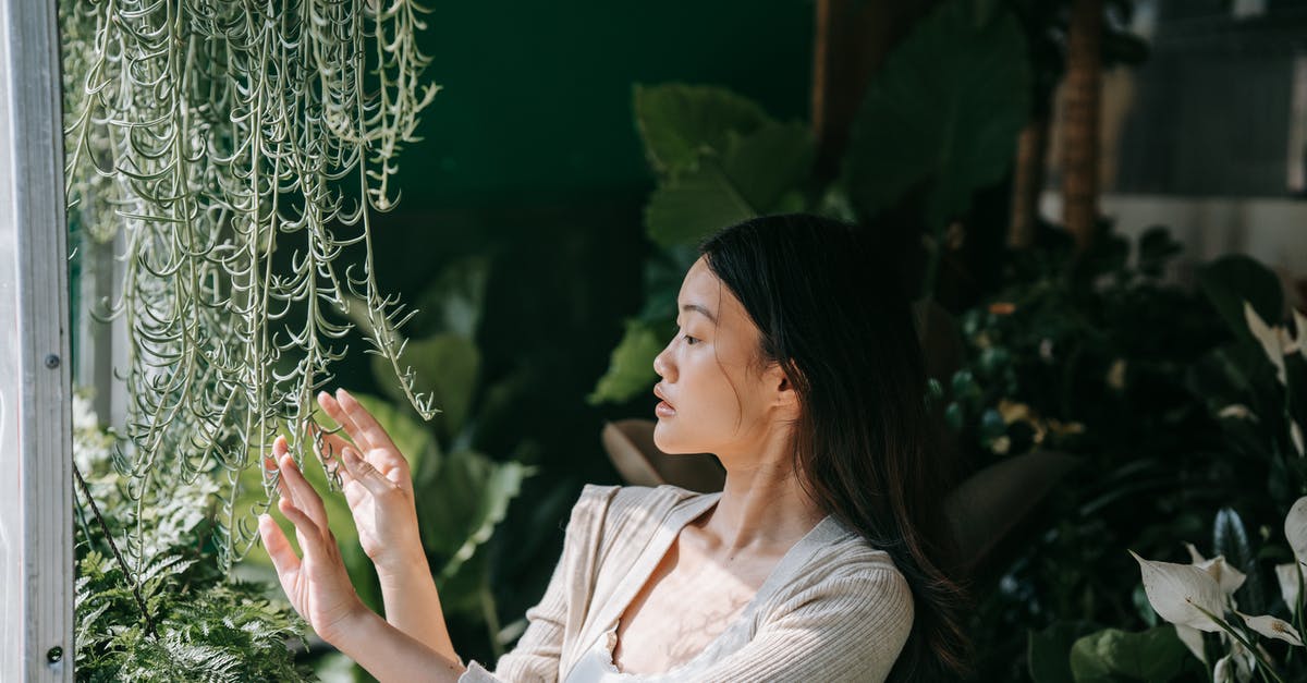 Does Jax's Grandmaster's Might passive trigger Deathfire Touch? - Woman in White Long Sleeve Shirt Holding Green Plant Does Jax's Grandmaster's Might passive trigger Deathfire Touch? - Woman in White Long Sleeve Shirt Holding Green Plant