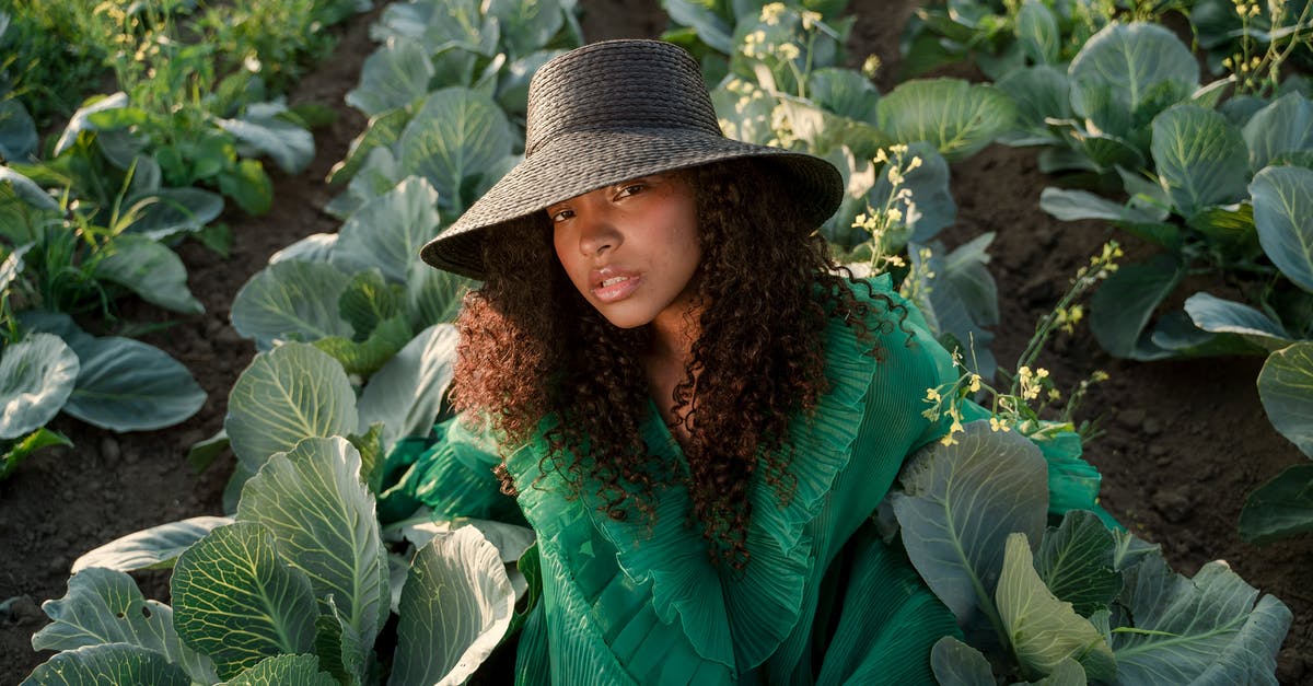 Does Loot Redistribute Among Storages - Woman Wearing Green Dress and Brown Hat Sitting Among Rows of Cabbages in Field