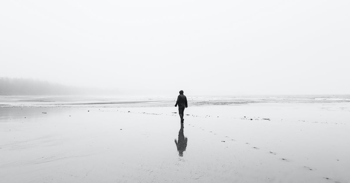 Does Lucio's Sonic Amplifier Knock Back Distance Vary By Proximity? - Monochrome back view of full body unrecognizable person in autumn clothes walking on lonely wet sandy coast in overcast day