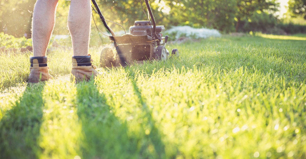 Does Mowing the Grass have benefits beyond aesthetics in RollerCoaster Tycoon? - A Person Mowing the Lawn Does Mowing the Grass have benefits beyond aesthetics in RollerCoaster Tycoon? - A Person Mowing the Lawn