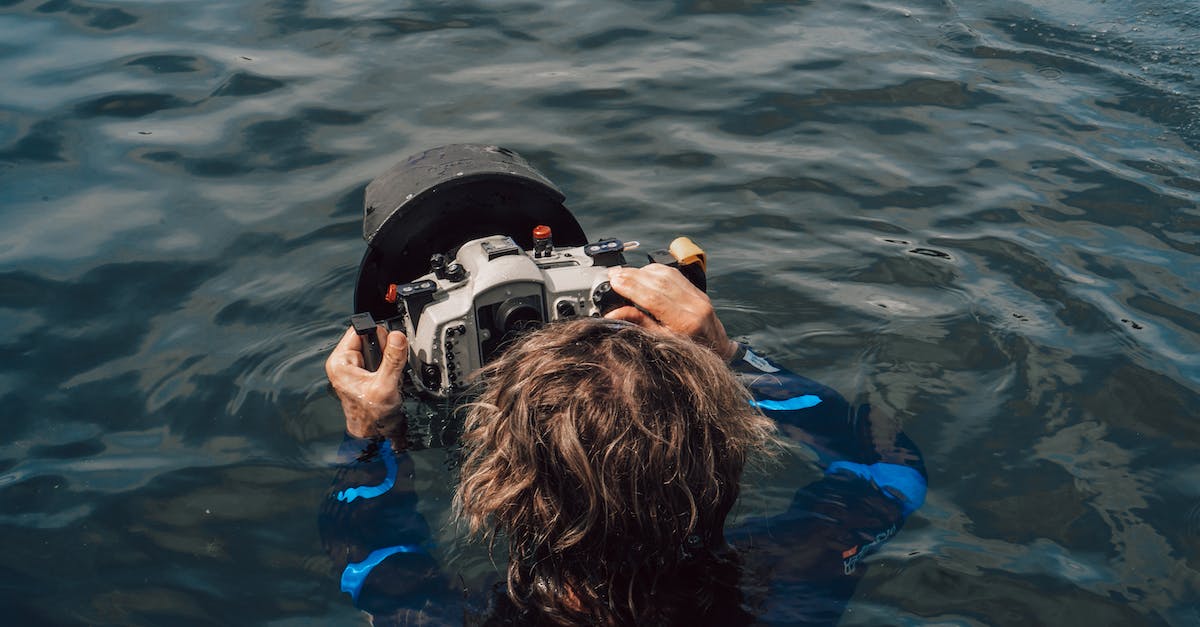 Does NG+ and further boost item discovery rate? - Back view of unrecognizable diver in wet suit taking picture on professional equipment for undersea imaging while swimming in sea
