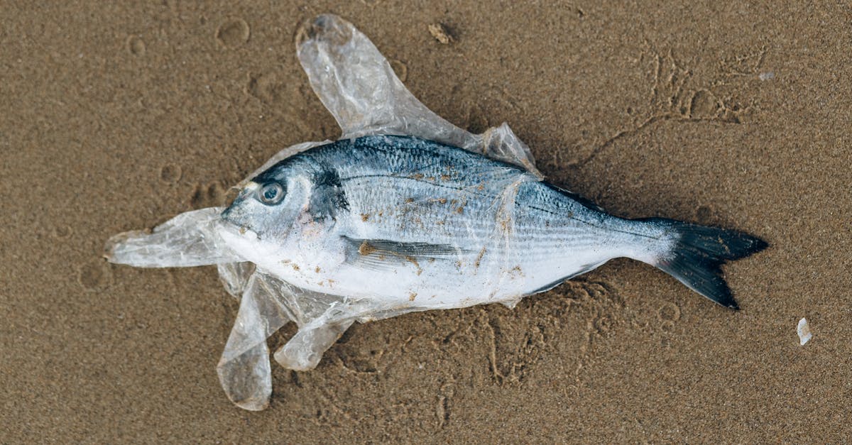 Does nuking ocean bases cause pollution? - Gray Fish in a Plastic Glove on Gray Sand Does nuking ocean bases cause pollution? - Gray Fish in a Plastic Glove on Gray Sand