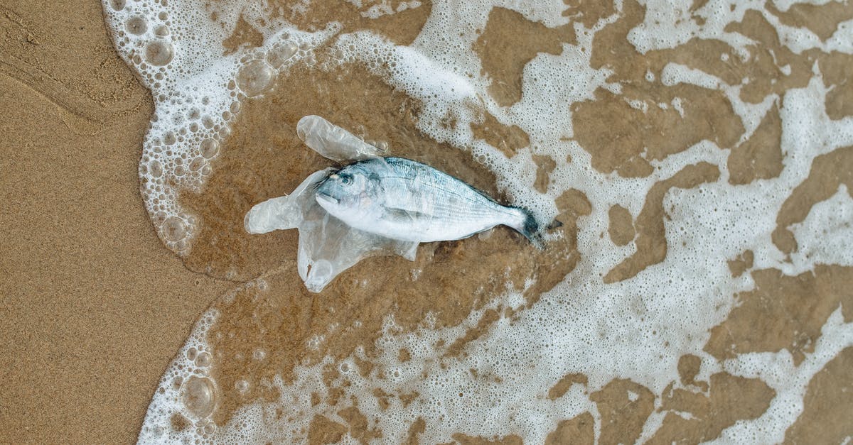 Does nuking ocean bases cause pollution? - Fish in a Clear Plastic By the Seashore Does nuking ocean bases cause pollution? - Fish in a Clear Plastic By the Seashore