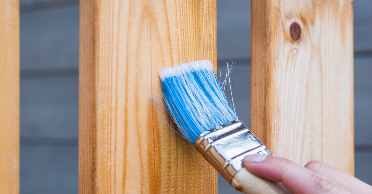 Does paint only apply to certain types of blocks? - Person Holding Paintbrush Does paint only apply to certain types of blocks? - Person Holding Paintbrush