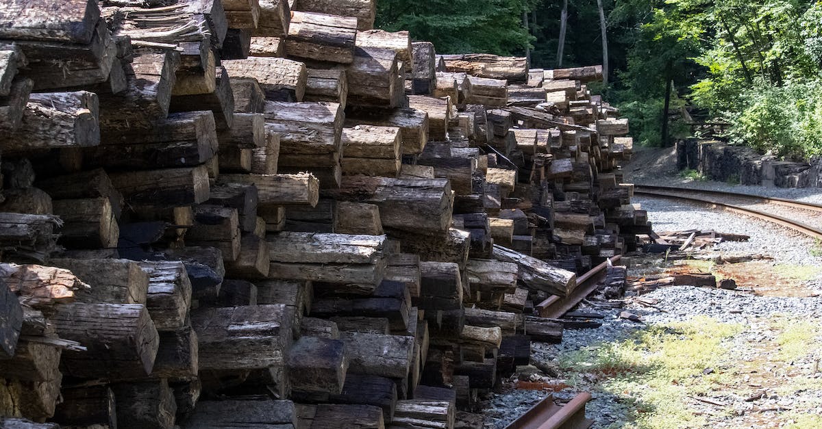 Does Paralysis stack with Wyrdward? - 