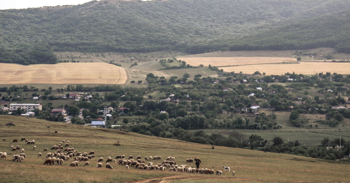Does "hearting" farm animals do anything? [duplicate] - Green Grass Field With Animals on the Field