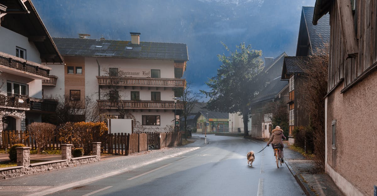 Does riding a mount influence resources detection ability? - Unrecognizable woman walking dog on road near mountains and buildings Does riding a mount influence resources detection ability? - Unrecognizable woman walking dog on road near mountains and buildings