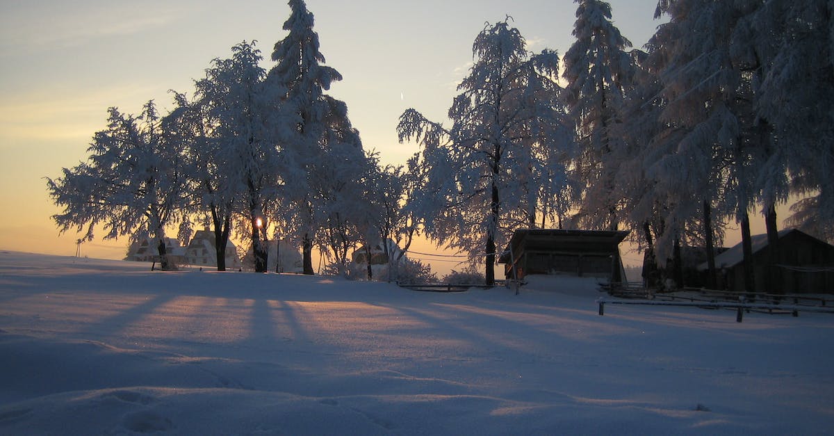 Does silence remove freeze effects? - Snow covered field and trees in remote rural area with wooden buildings and fence in soft sunlight