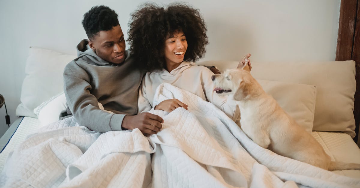 Does sneak attack affect companion relationship? - Smiling young black couple petting curious dog on bed Does sneak attack affect companion relationship? - Smiling young black couple petting curious dog on bed