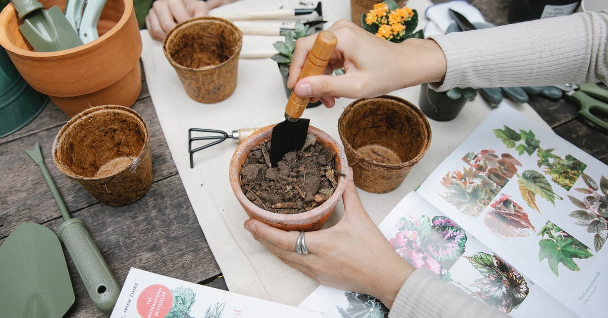 Does Speed-Gro fertilizer affect the growth of repeating crops? - From above of crop anonymous gardener with shovel preparing soil for seedling at table with opened book with illustrations