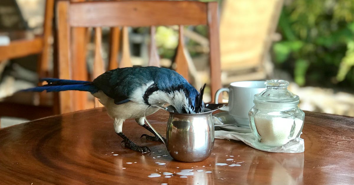 Does stealing via "Mug" also count towards the Talent for Acquisition trophy? - Bird Beside Container on the Table
