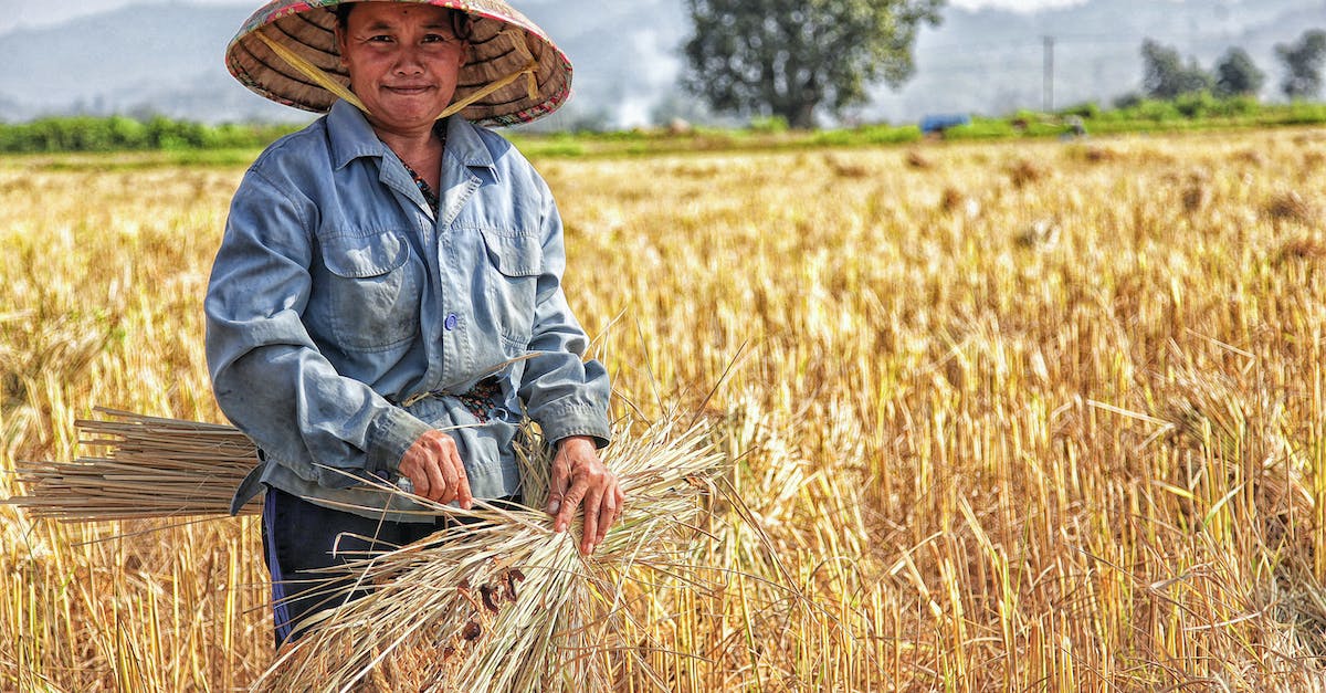 Does straw hat and other overheat-slowing items increase heat drain during winter? - Woman Picking Plant on Field