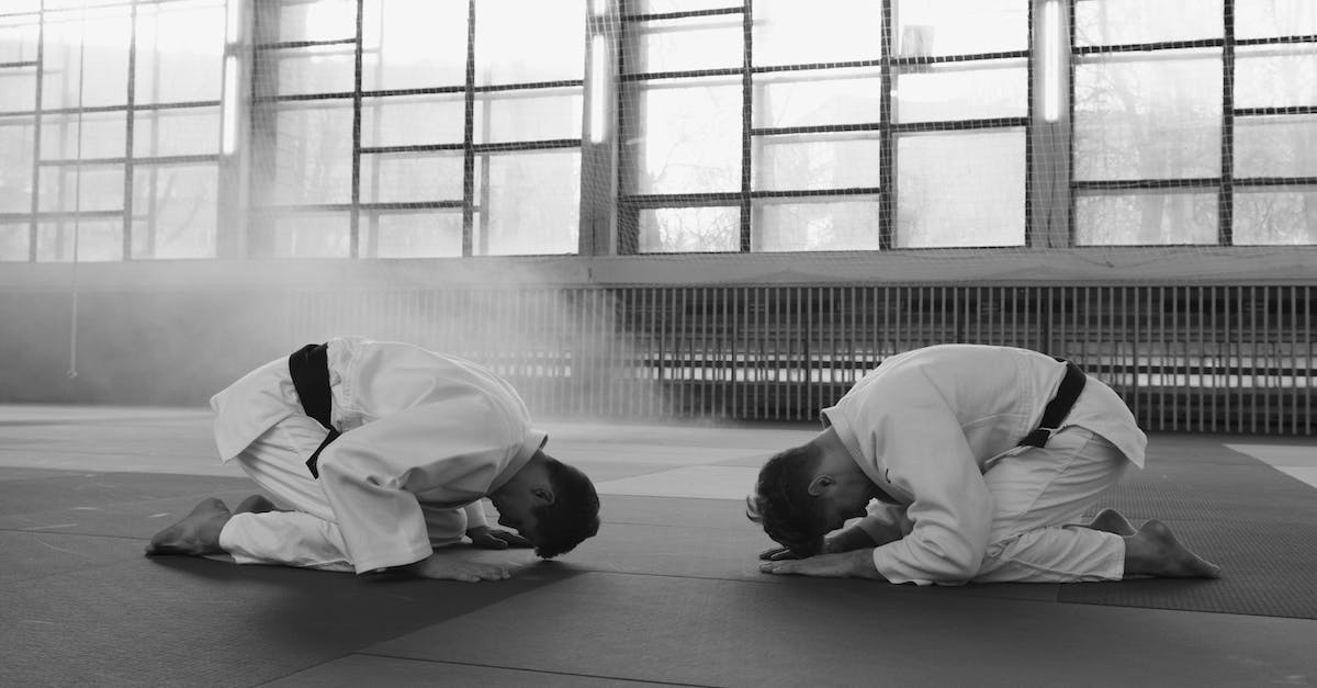 Does Super Street Fighter IV AE 2012 & Ultra Street Fighter IV have Japanese voice lines? - Free stock photo of action, active, adult