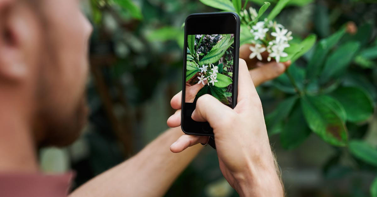 Does the auto-select feature in New Pokémon Snap take challenges into account? - Person Taking Photo of White Petaled Flowers Does the auto-select feature in New Pokémon Snap take challenges into account? - Person Taking Photo of White Petaled Flowers