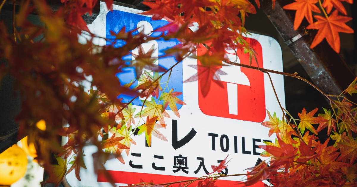 Does the blue highlight indicate anything? [duplicate] - Colorful electric signboard showing public toilets hanging under trees with bright foliage in night