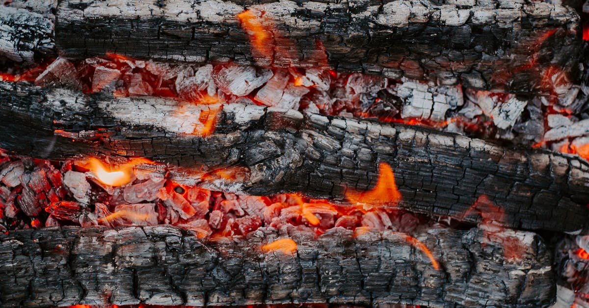 Does the Double Tap perk from Zombies make rapid fire useless? - Top view of textured backdrop representing cut tree trunks with rough surface burning in bright fire in daytime Does the Double Tap perk from Zombies make rapid fire useless? - Top view of textured backdrop representing cut tree trunks with rough surface burning in bright fire in daytime