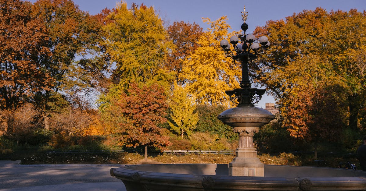 Does the Last of Us season pass include a multiplayer key? - Cherry Hill Fountain placed in autumn park